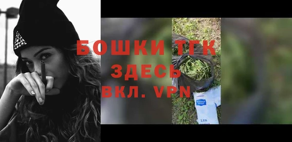 молекула духа Верхний Тагил