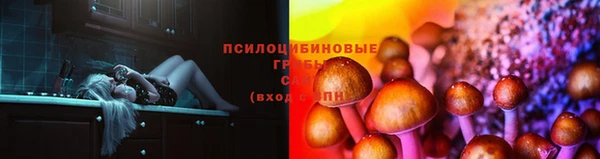 бошки Верея
