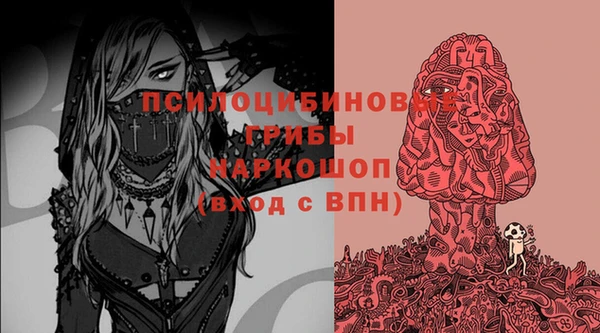 МДПВ Переславль-Залесский