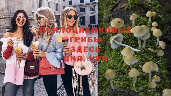 молекула духа Верхний Тагил
