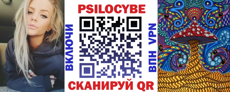 купить наркотик  Кинель  Галлюциногенные грибы Cubensis 